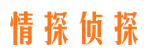 衡水侦探公司